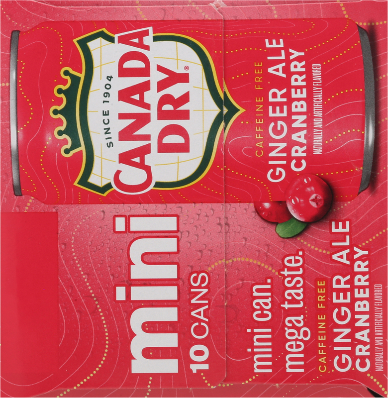 Canada Dry Cranberry Mini Ginger Ale | Giant Eagle | Because It