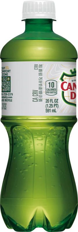 Canada Dry Zero Sugar Ginger Ale Soda, 20 fl oz bottle | Giant