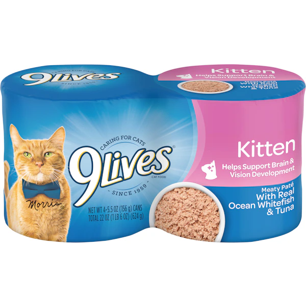 Is Wet Cat Food Good for Cats: Benefits & Insights