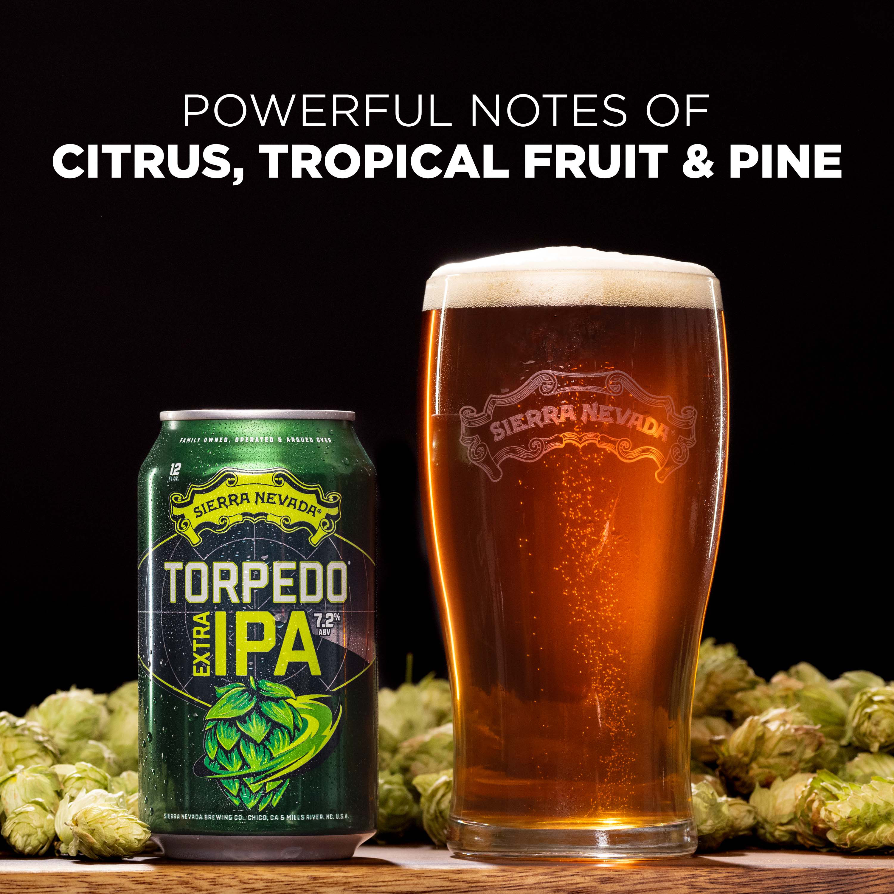 SIERRA NEVADA TORPEDO EXTRA IPA 12缶 Sierra Nevada Torpedo Extra IPA 12-12 fl. oz. Cans – Park