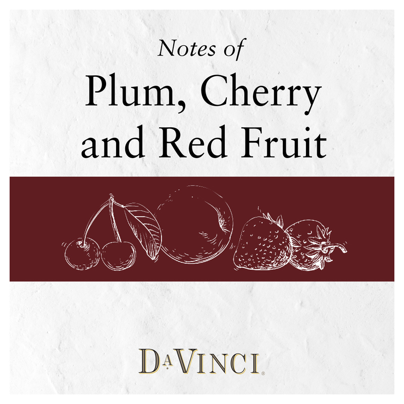DaVinci Chianti Italian Red Wine 750ml | Giant Eagle | Because It