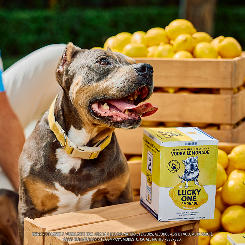 Lucky One Vodka Lemonade Blueberry 4 Pack 355ml Cans | Giant Eagle