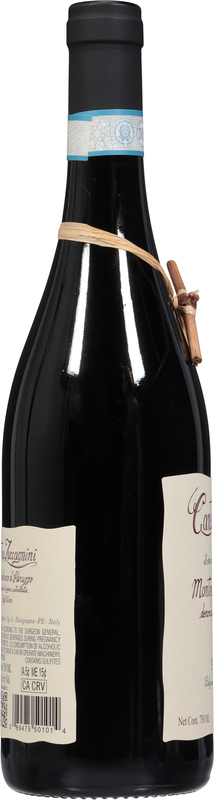 Cantina Zaccagnini Red Wine | Giant Eagle | Because It Matters