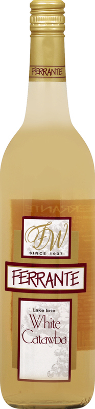 FERRANTE モカシン フェランテ FERRANTE FERRANTE ローファー ISEO CAMOSCIO スウェード