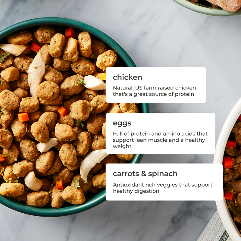 Freshpet Dog Food, Freshly Roasted Meals, Tender Chicken Recipe