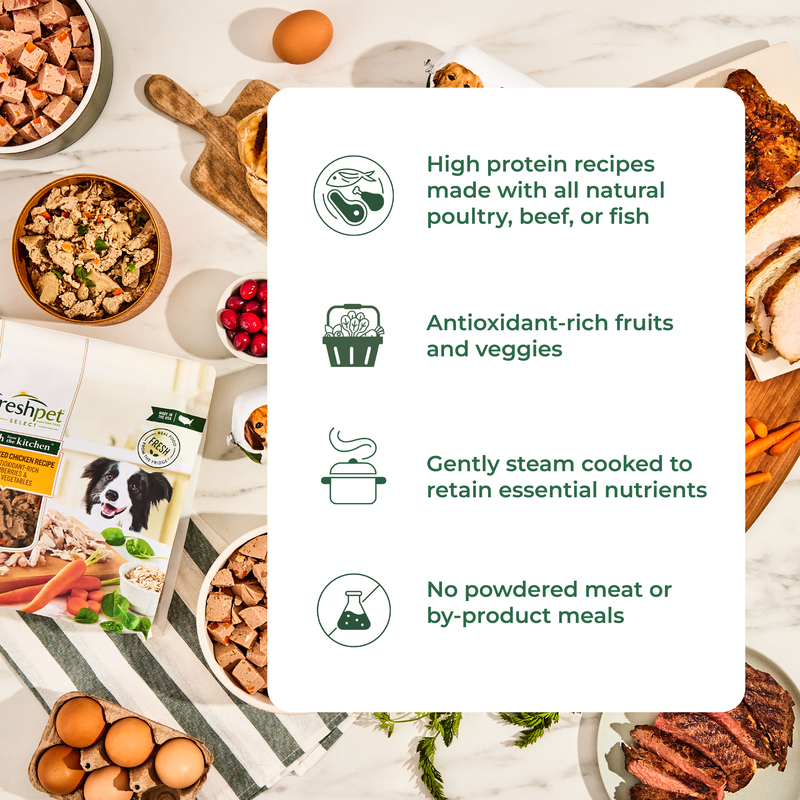 Freshpet Dog Food, Freshly Roasted Meals, Tender Chicken Recipe