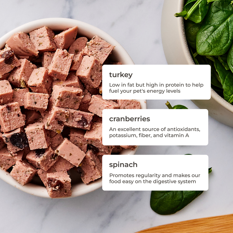 Freshpet Healthy & Natural Dog Food, Small Dog Fresh Chicken