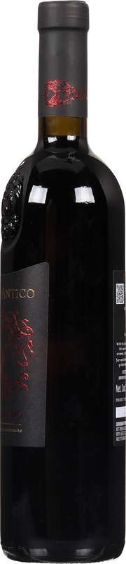 400 Semi Di Mais Pignoletto Rosso Antico Piemontese (Zea Mays) - Semi 2024 Da Italia
