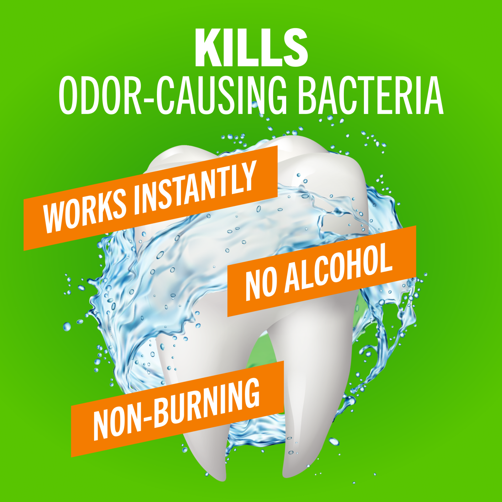 TheraBreath Fresh Breath Mouthwash, Mild Mint, Alcohol-Free, 16 fl