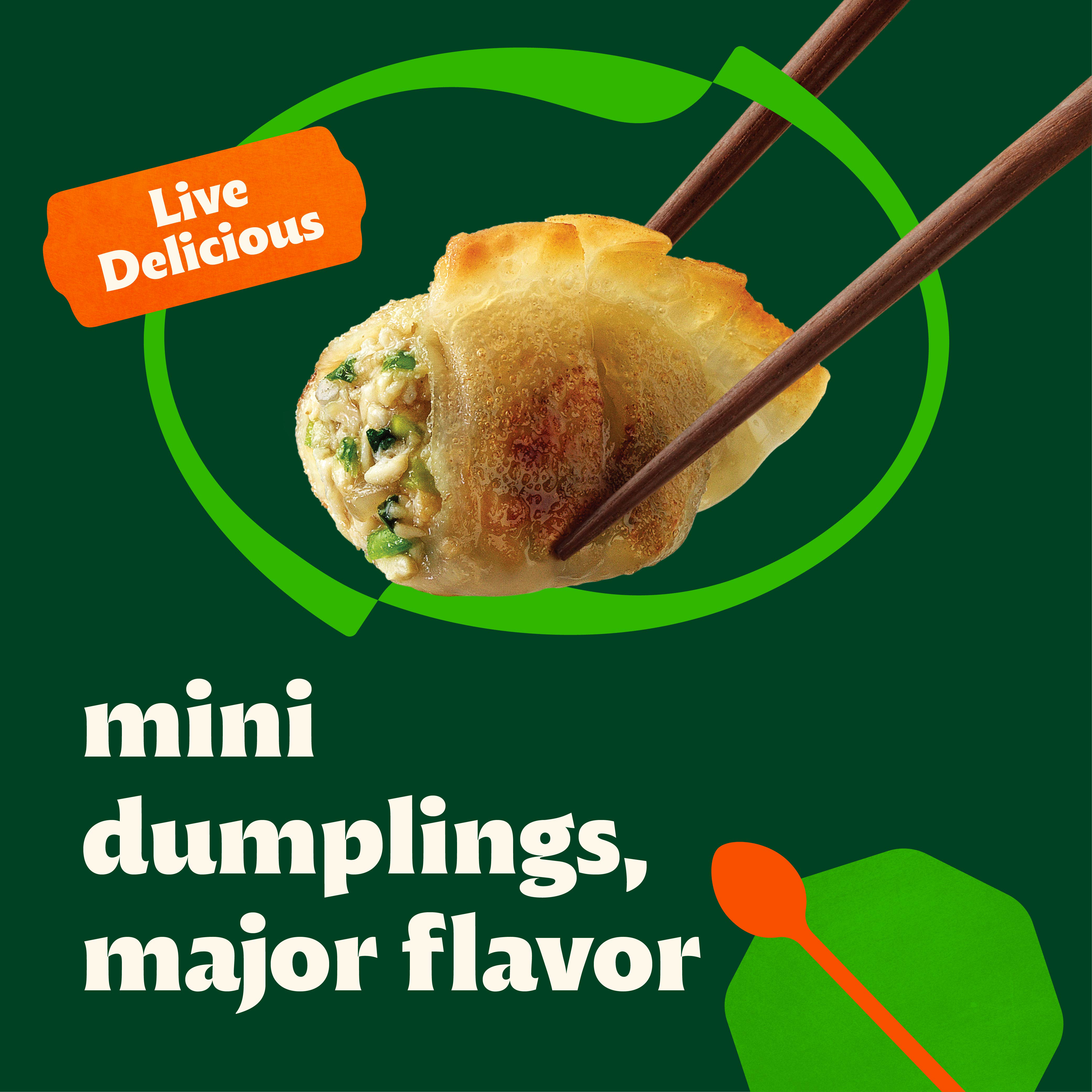 Bibigo Frozen Mini Wontons Chicken & Vegetable Dumplings | Giant
