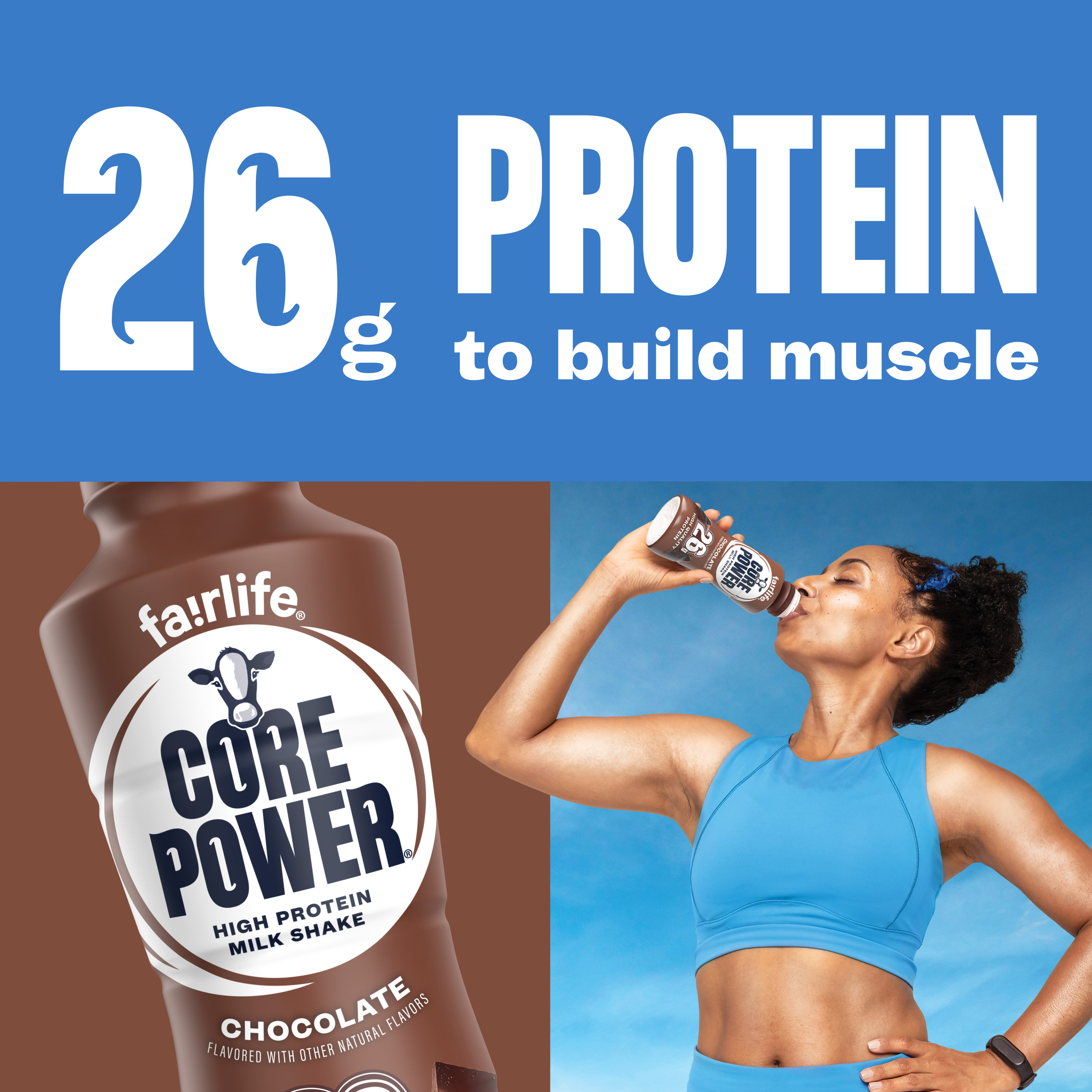 Core Power Protein Shake, Chocolate, 26G Bottle, 14Oz | Giant