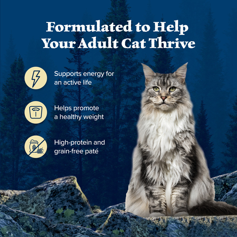 any issues with iams gentle cat food Iams ProActive Health Kitten Chicken Recipe Dry Cat Food – Petsense main image 0