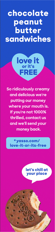 Yasso Chocolate Peanut Butter Greek Yogurt Sandwiches | Giant
