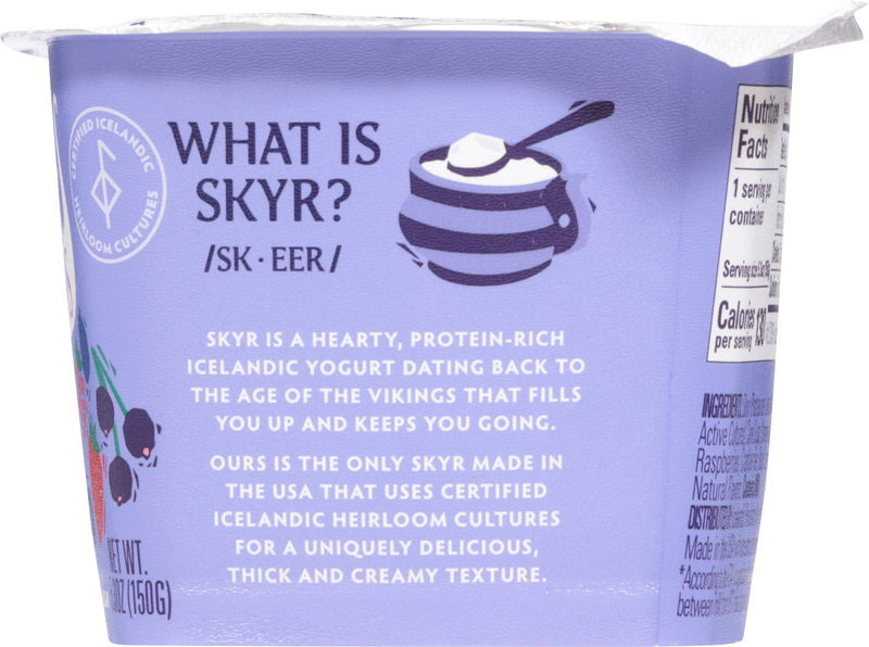 Icelandic Provisions Thick & Creamy Berry Medley Skyr | Giant
