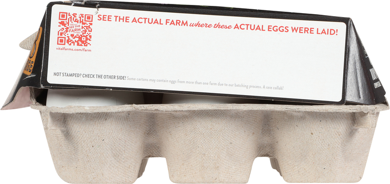 Vital Farms 18 ct Pasture-Raised Large Grade A Brown Eggs | Giant