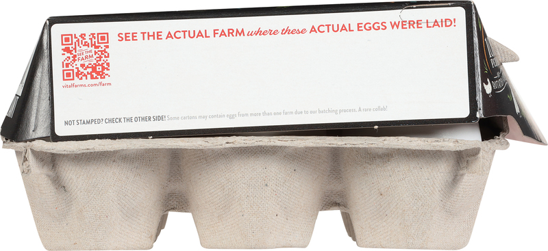 海外紙物　アメリカ　EGG SAVER 袋　50枚　大量　ラスト 海外紙物 アメリカ EGG SAVER 袋 50枚 大量 【公式通販】