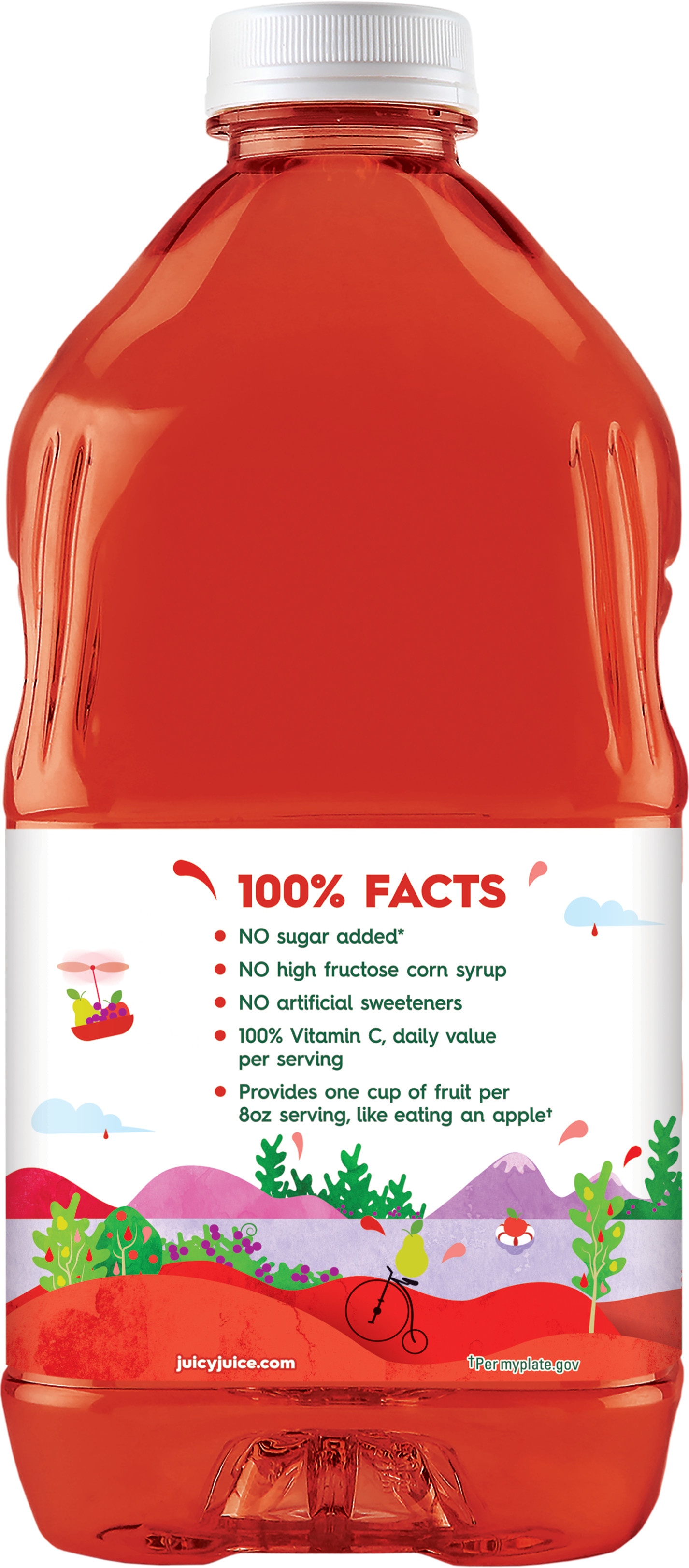 Juicy Juice 100% Juice, Fruit Punch, 64 FL OZ Bottle | Giant