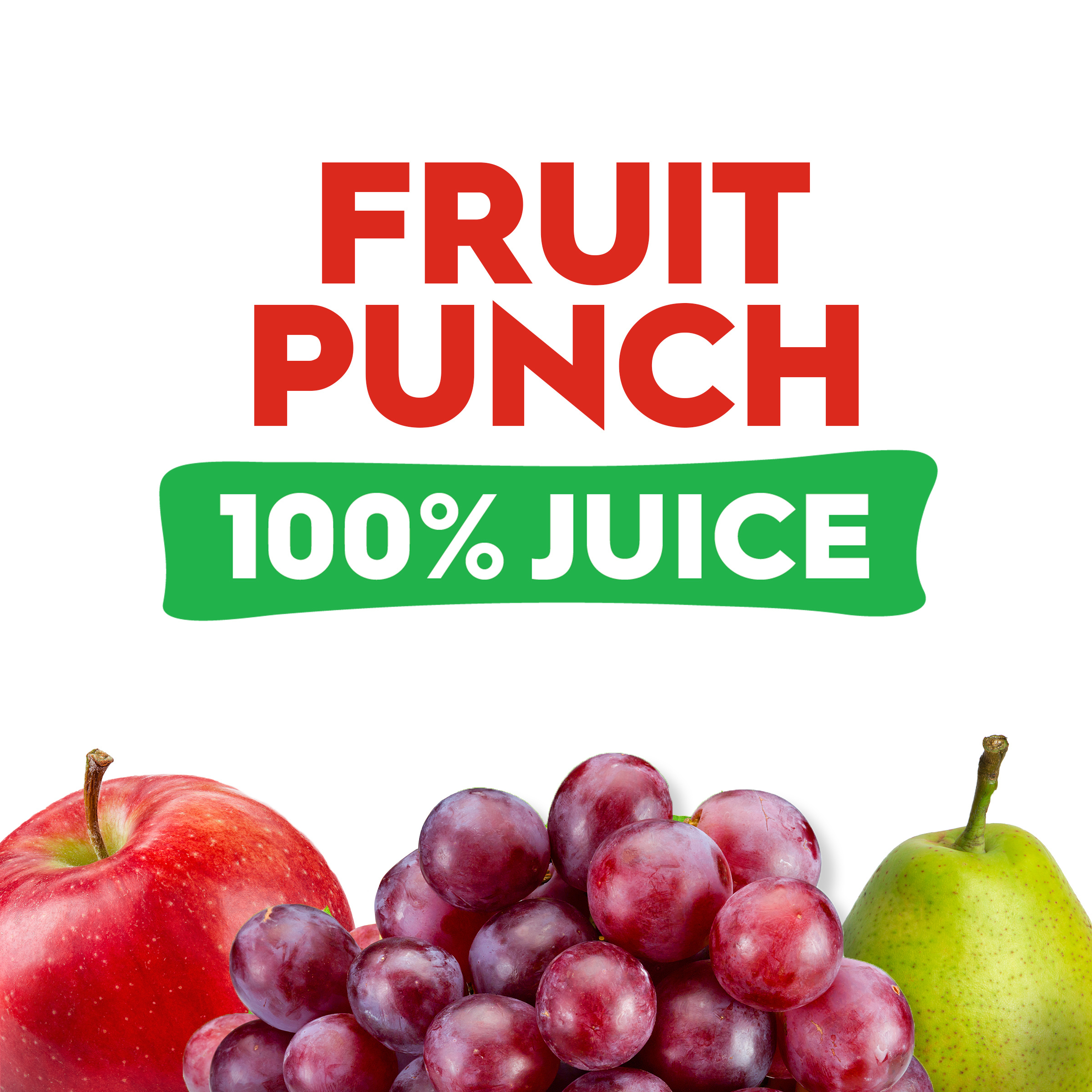 juicy Juicy Juice 100% Juice, Fruit Punch, 48 FL OZ Bottle | Giant Eagle