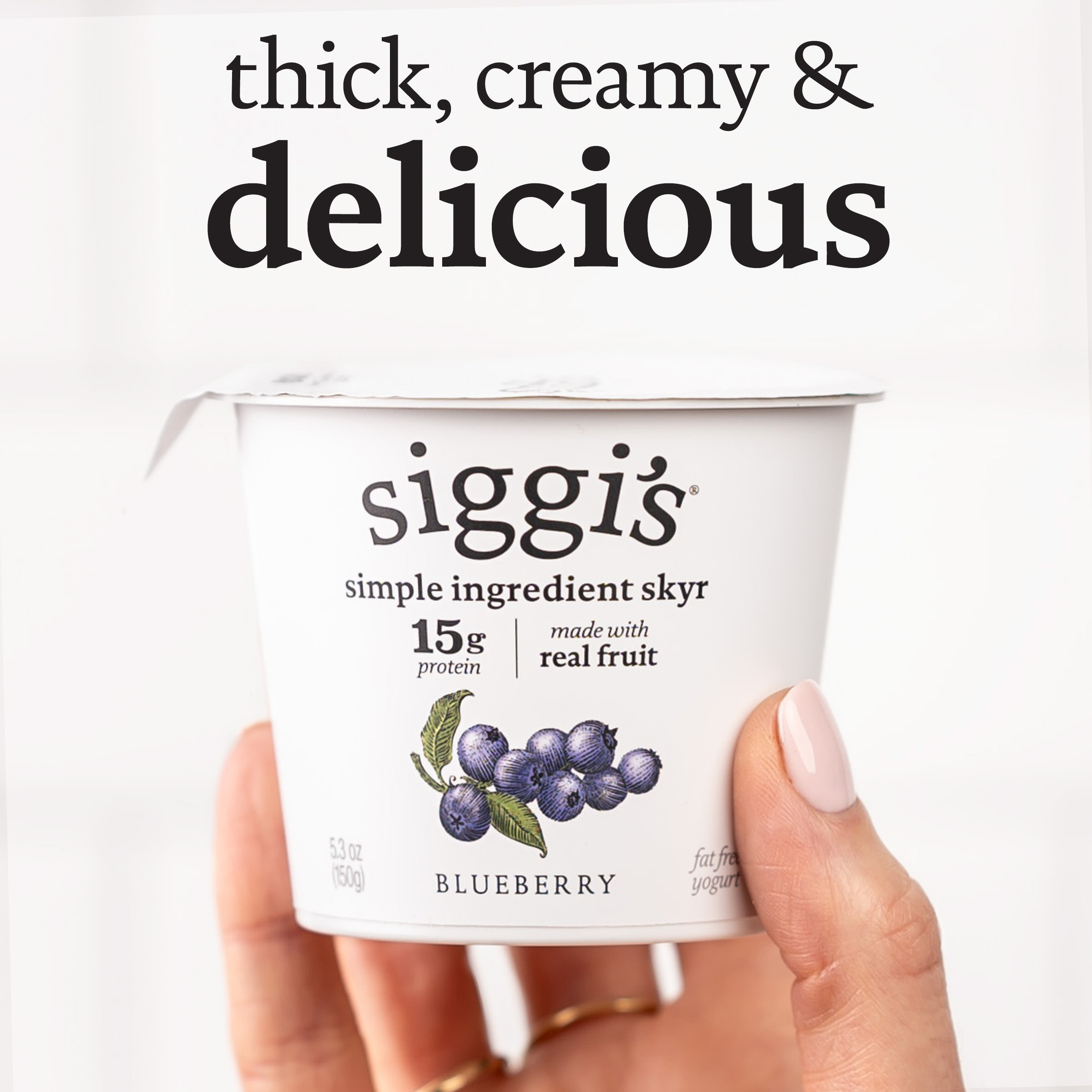 Siggi's Icelandic Nonfat Yogurt, Strained, Blueberry | Giant Eagle
